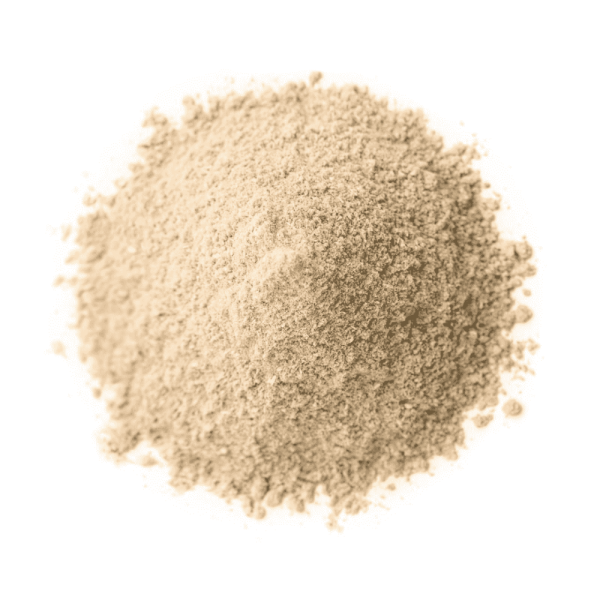 अमचूर / Dry Mango Powder (Punjab)